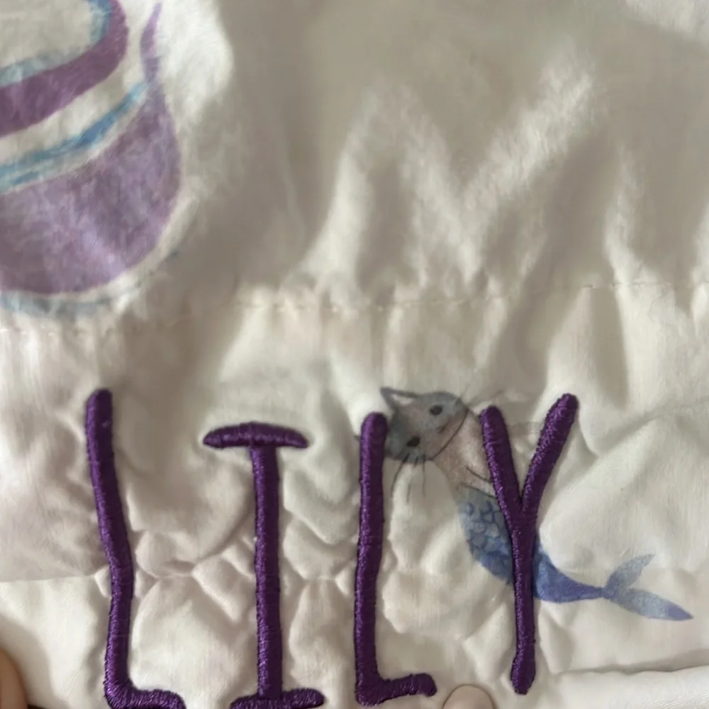 Pottery Barn Kids Mermaid & Cats Beach Pillow Sham Embroidered Lily 28x20